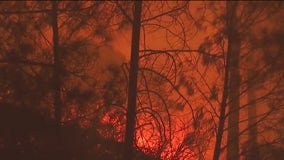 Report: California wildfire sparked when tree hit power line