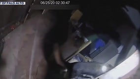 Palo Alto police release video of K-9 attacking wrong man