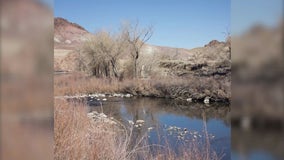 Nevada town sues for rights to water leaking from US canal