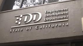 California appoints special counsel for unemployment fraud