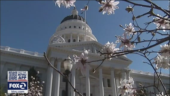 Stimulus payments, tax credits, rental assistance included in $1.9 trillion relief bill