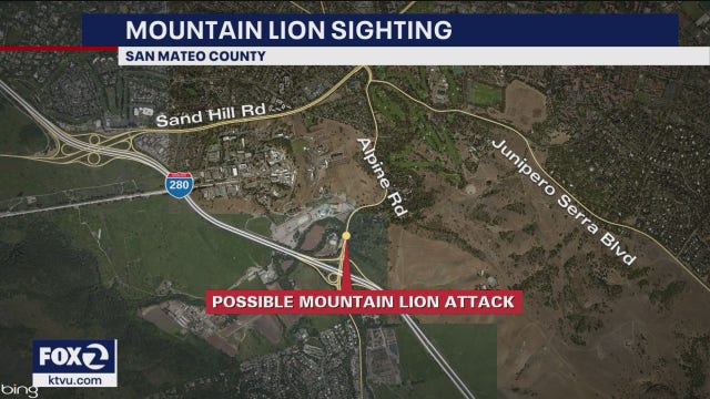 Deputies say dog may have been attacked by mountain lion near Portola Valley