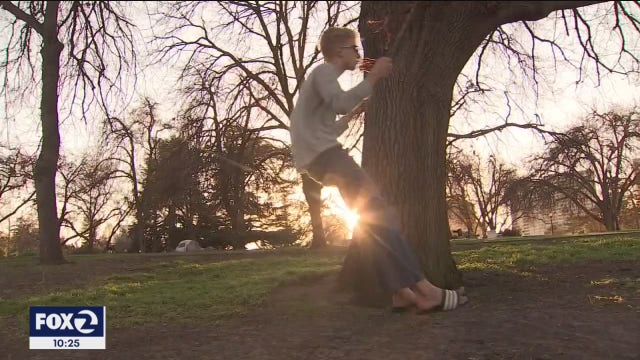 Teen’s quarantine boredom spawns spontaneous homemade swings