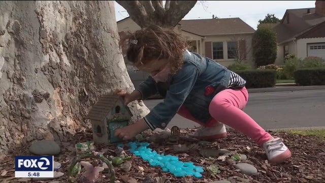 Strangers help young girl's fairy tale come true in Burlingame