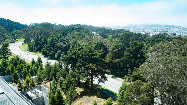 Rally in Golden Gate Park calls for JFK Drive to be permanently car-free