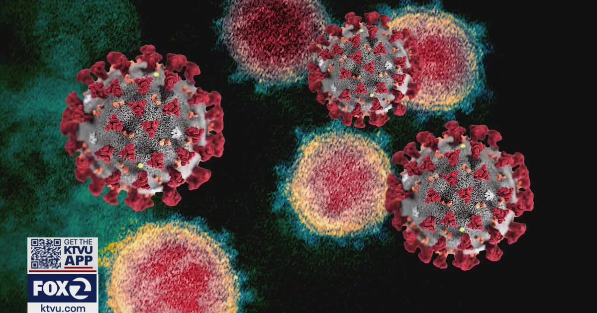 Every variant 'of concern' now detected in Santa Clara County | KTVU FOX 2