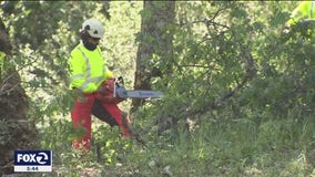 Napa County jumpstarts fire season preparation with $6.4M