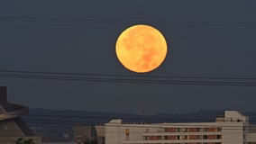 Supermoon Pink Moon to appear big and bright in the evening sky in April — here’s how to watch