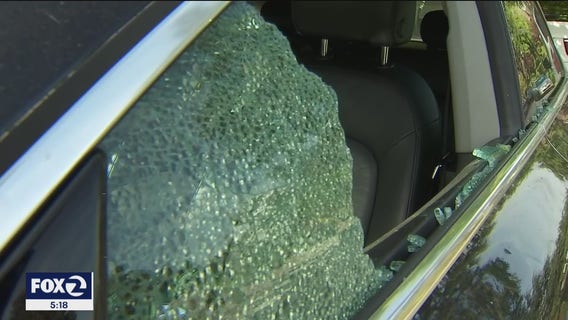 At least a dozen cars vandalized in Piedmont neighborhood
