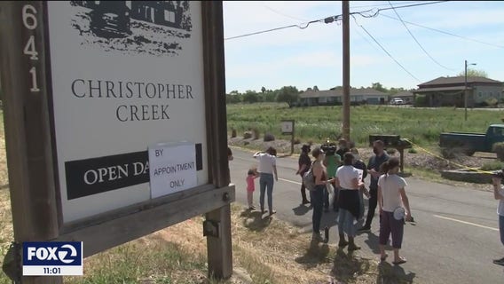 Windsor mayor's brother calls for him to resign from office after more sex assault allegations emerge