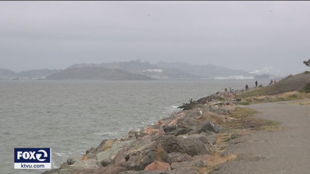 Bay Area conservationists say region much healthier, but more action required to save the earth