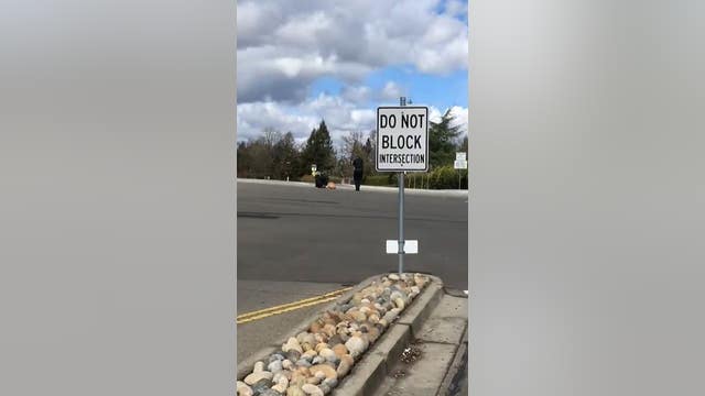 New cell-phone video shows officer fatally shooting Tyrell Wilson in Danville