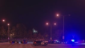 Man tased, arrested after brandishing machete at Fremont BART station