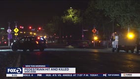 Woman struck and killed in San Jose, 18th traffic fatality of 2021