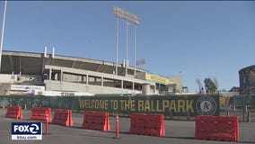 Longtime, loyal Oakland A's fans don't want to see their team leave