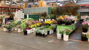 Mother's Day at SF Flower Mart feels normal says vendors, shoppers