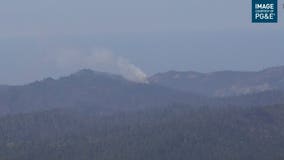 Cal Fire extinguishes vegetation fire in Big Basin Redwoods State Park