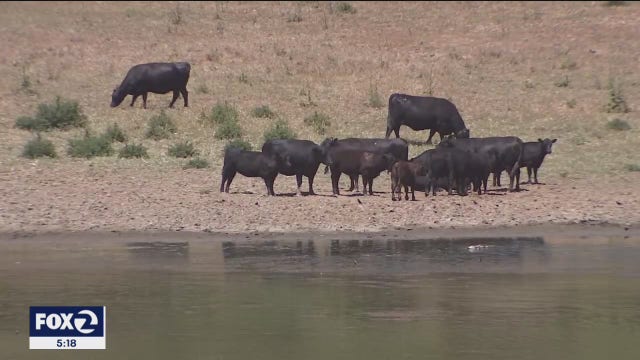The drought's assault on California's $50 billion farm industry