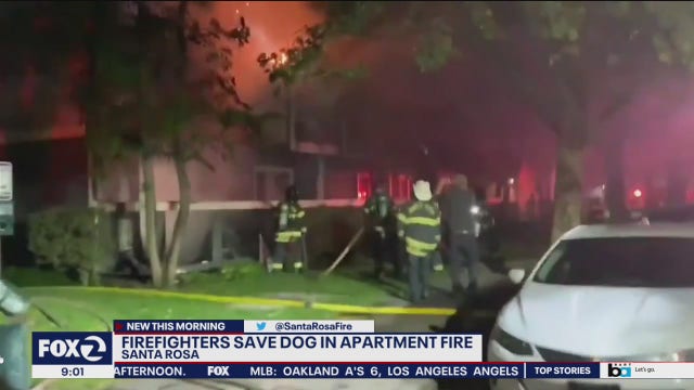 Dog rescued from Santa Rosa apartment building fire
