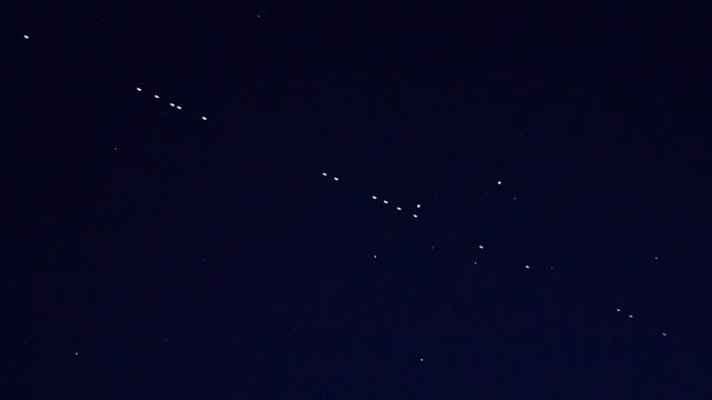 Starlink satellites launched earlier this month visible in Bay Area