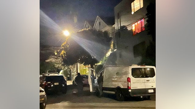 Fish and wildlife officials en route to 'dart and remove' mountain lion in San Francisco