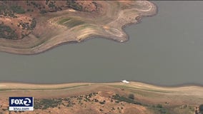 Bay Area residents installing drought-tolerant landscapes to accommodate water restrictions