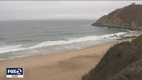 Pacifica beaches reopened after weekend shark attack