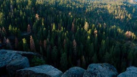 San Jose man falls 500 feet to his death while hiking Sequoia National Park