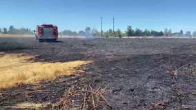 Grass fire sparked by mower burns nearly 5 acres in Santa Rosa