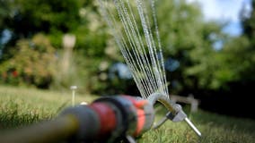Healdsburg bans outdoor watering as drought conditions worsen