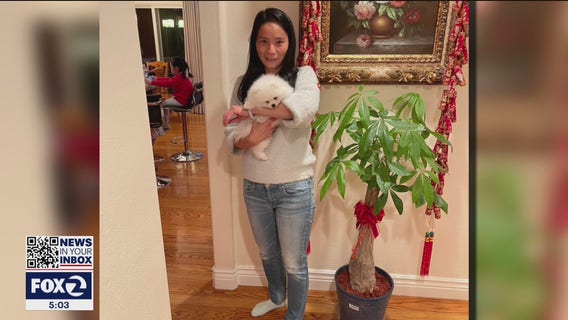 SFPD looking for driver of stolen SUV involved in Fisherman's Wharf hit-and-run