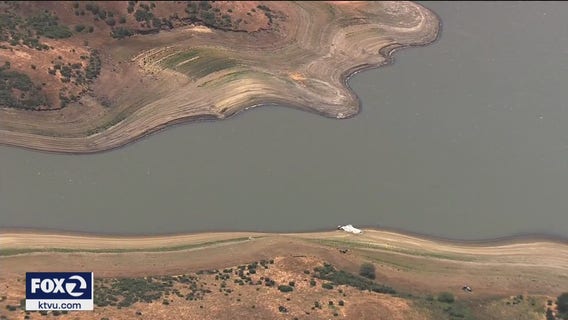 Bay Area residents installing drought-tolerant landscapes to accommodate water restrictions