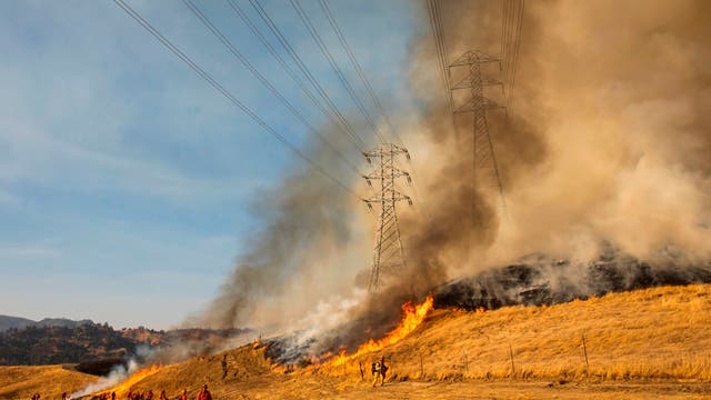 Unlike California, Washington state electricity provider won't shut off power during wind storms