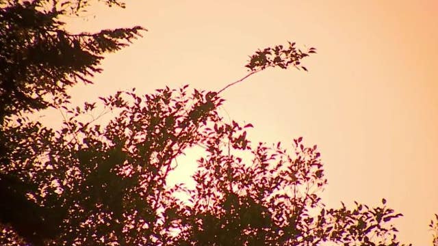 Blackouts in US Northwest due to heat wave, deaths reported