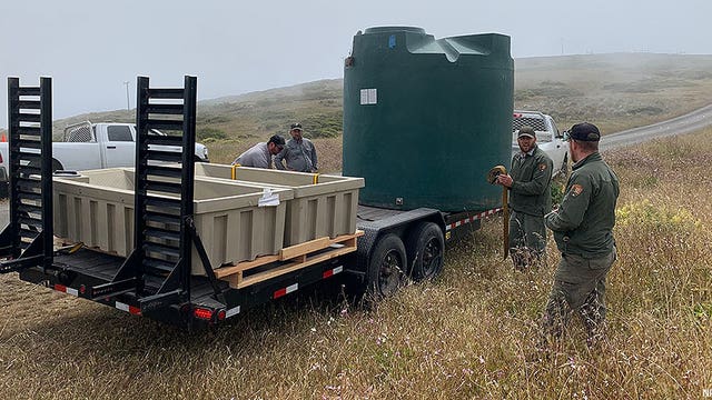 Water troughs set up in Marin County to help tule elk stay alive through drought