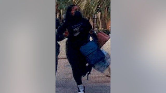 Palo Alto police say grab-and-run shoplifters hit Louis Vuitton for $100K in handbags