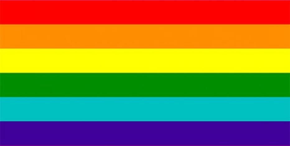do poepl like the new poc gay flag