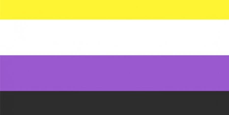 what is the meaning of the gay pride flag