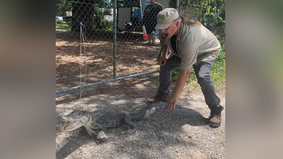 0588caff-GATOR1-RESIZED.jpg