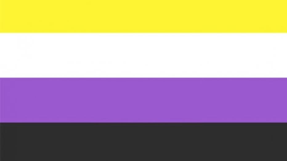 original black and brown stripes on gay flag meaning