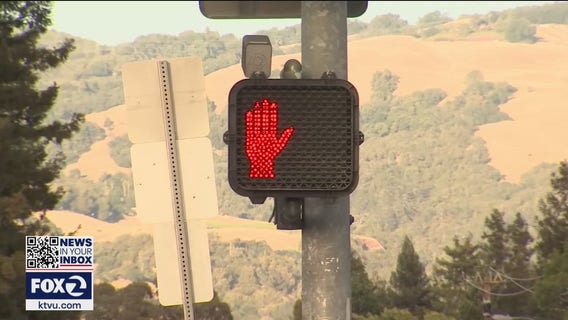 Sonoma State student dies after hit by car near campus