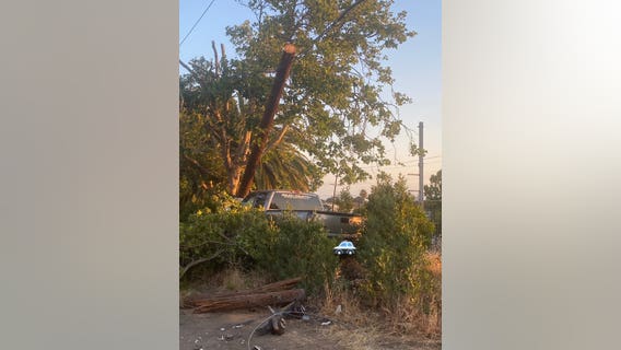 DUI suspected in Belmont crash that sparked grass fire, power outage