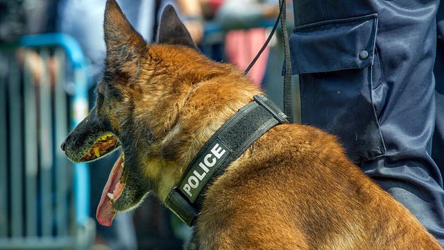 Jury awards $20 million after deadly attack by retired California police dog