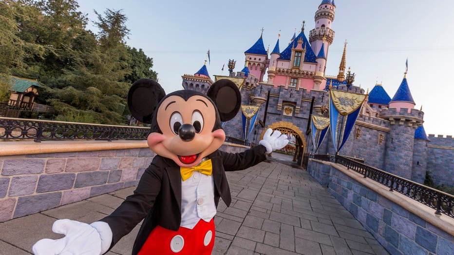 f3dc2b83-Disneyland Resort
