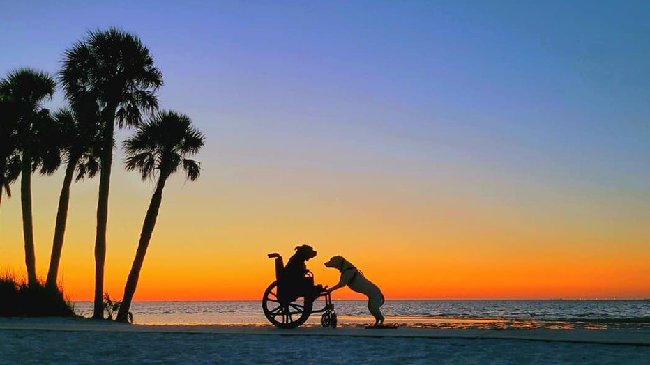 beach-orange-after-sunset-great-wheelchair.jpeg
