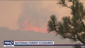 Northern California wildfires prompt closure of 9 national forests