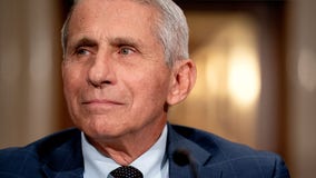 Fauci expects vaccine uptick, hopes pandemic control could come in spring 2022