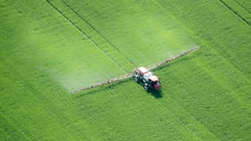 EPA bans use of pesticide chlorpyrifos linked to health problems in kids