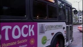 Investigation under way after threats targeting some Golden Gate District bus drivers