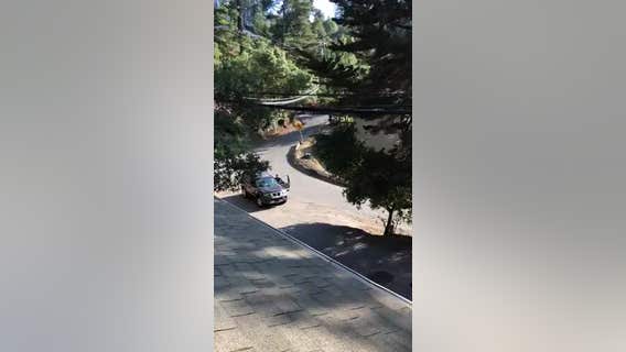 Driver arrested after seen on video deliberately hitting man with car in Oakland, police say